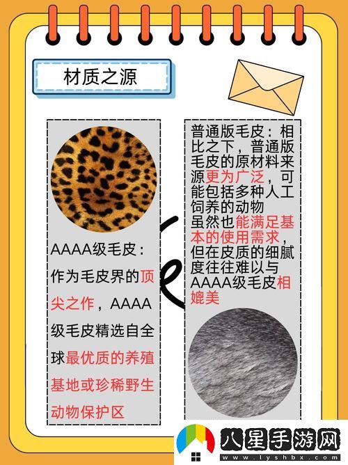 AAAA級(jí)毛皮與AAAA毛皮的區(qū)別