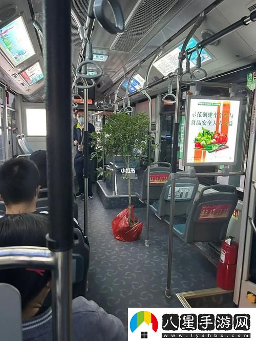愛情與命運(yùn)交錯的旅程