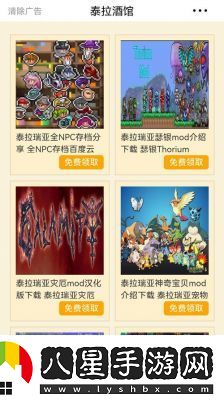 泰拉瑞亞游戲輔助工具選擇與風險預防